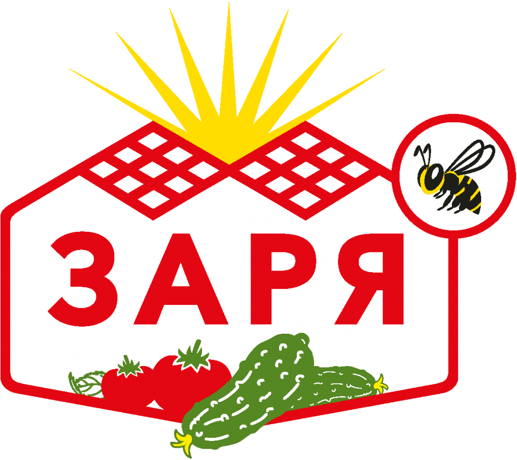 Полиграфия в Волгограде